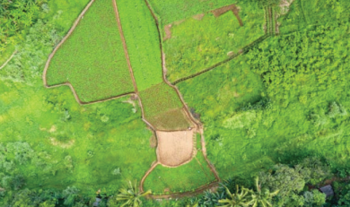 Land For Sale 5 Acre